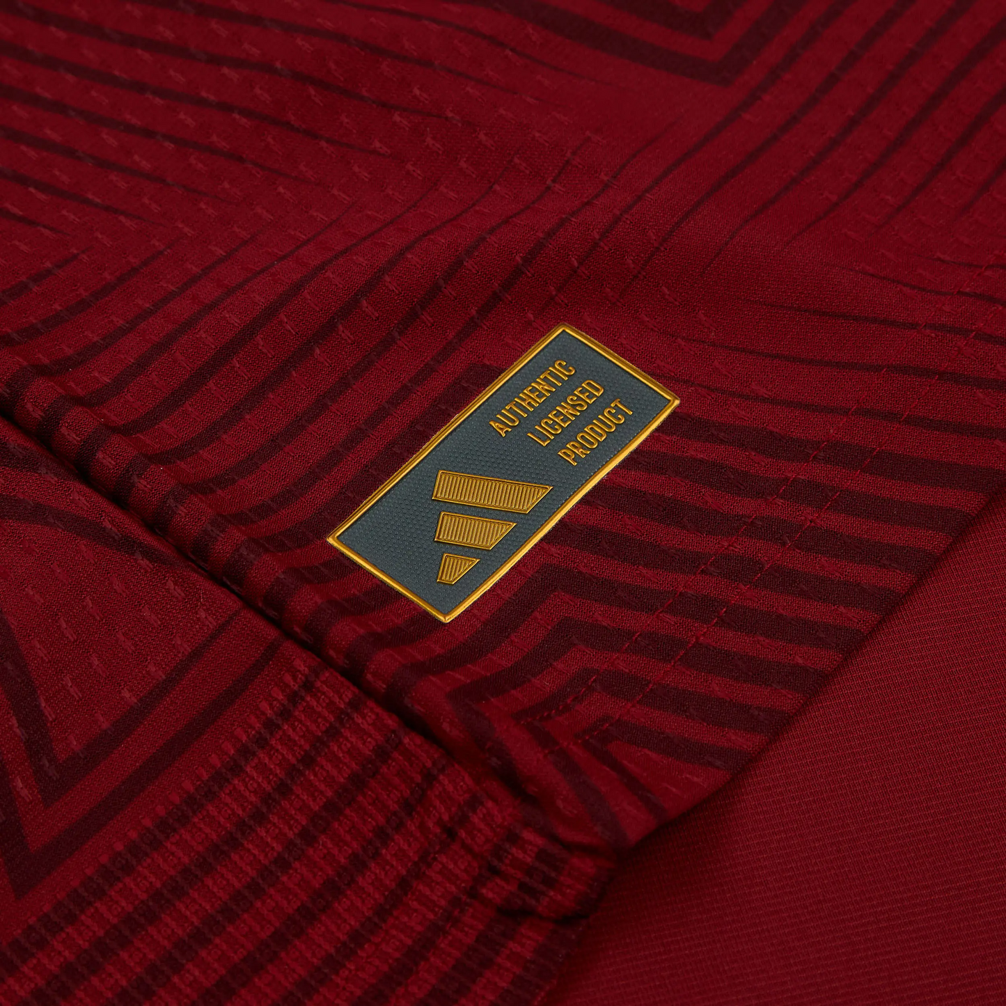 Maillot domicile authentique Venezuela 2026-27