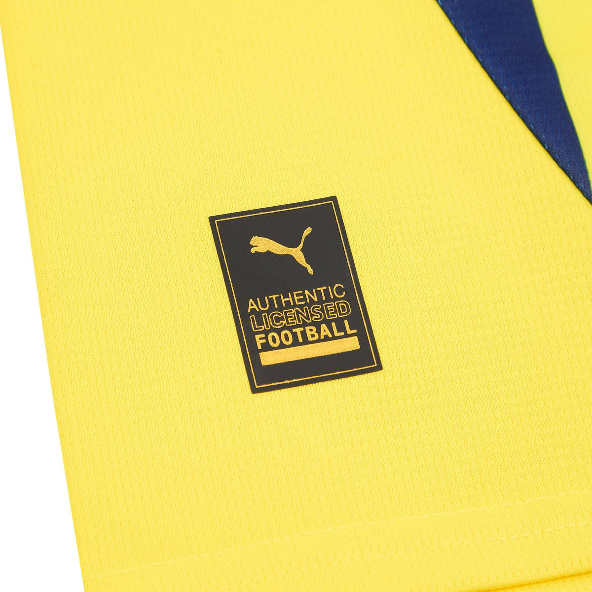 Maillot domicile Fenerbahce 2024-25