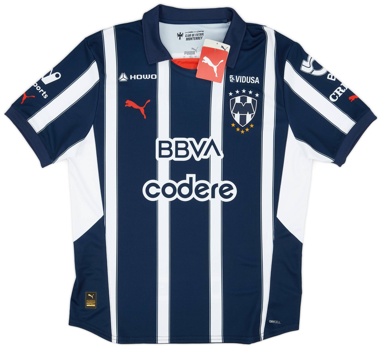 Maillot domicile Monterrey 2024-25