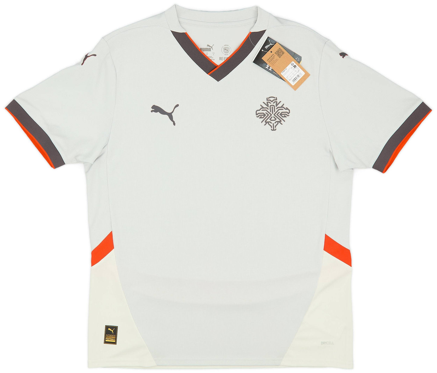 Maillot extérieur Islande 2024-25