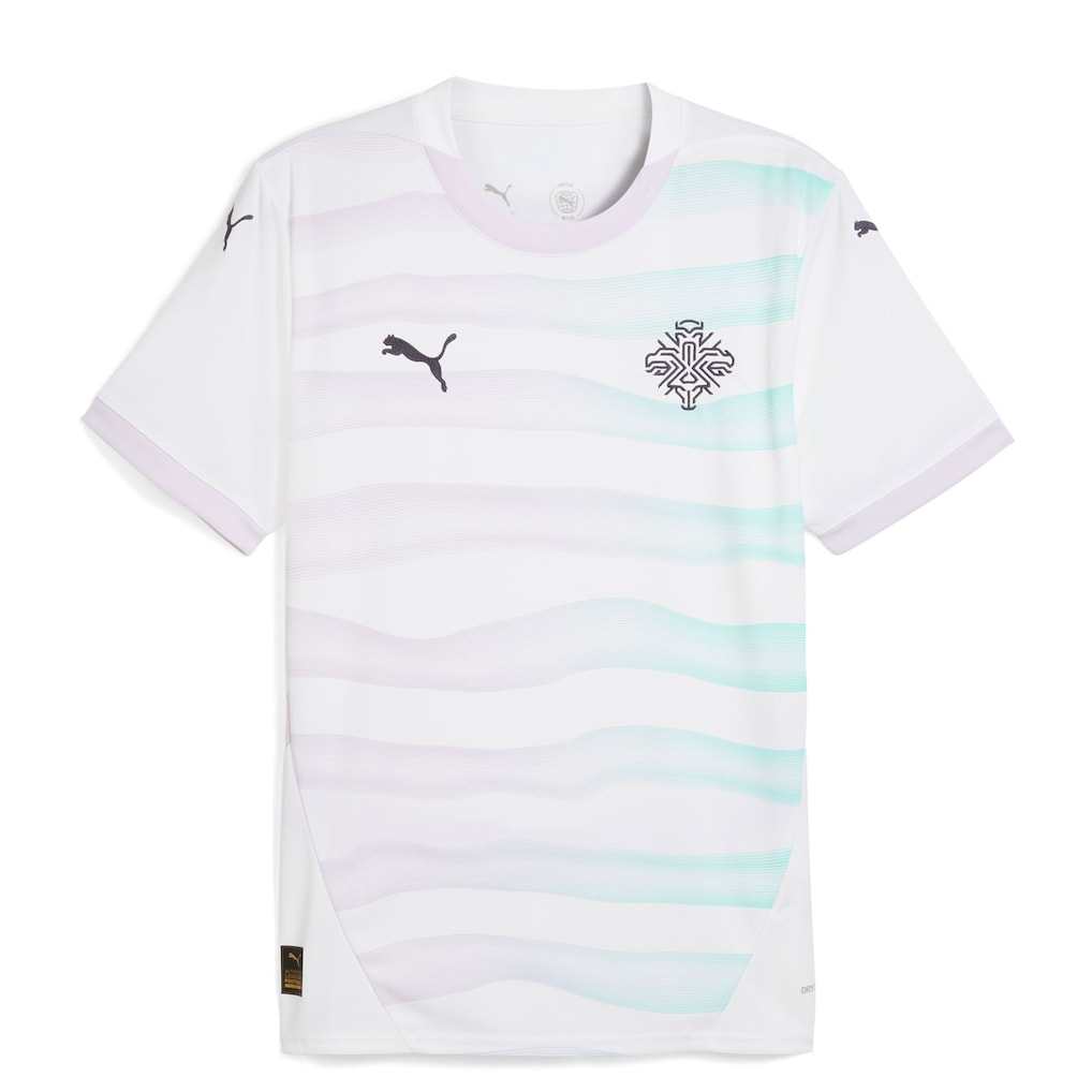 Maillot extérieur Islande 2025-26