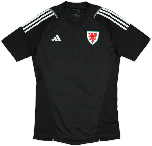 Maillot troisième gardien de but Pays de Galles 2023-24 (L)