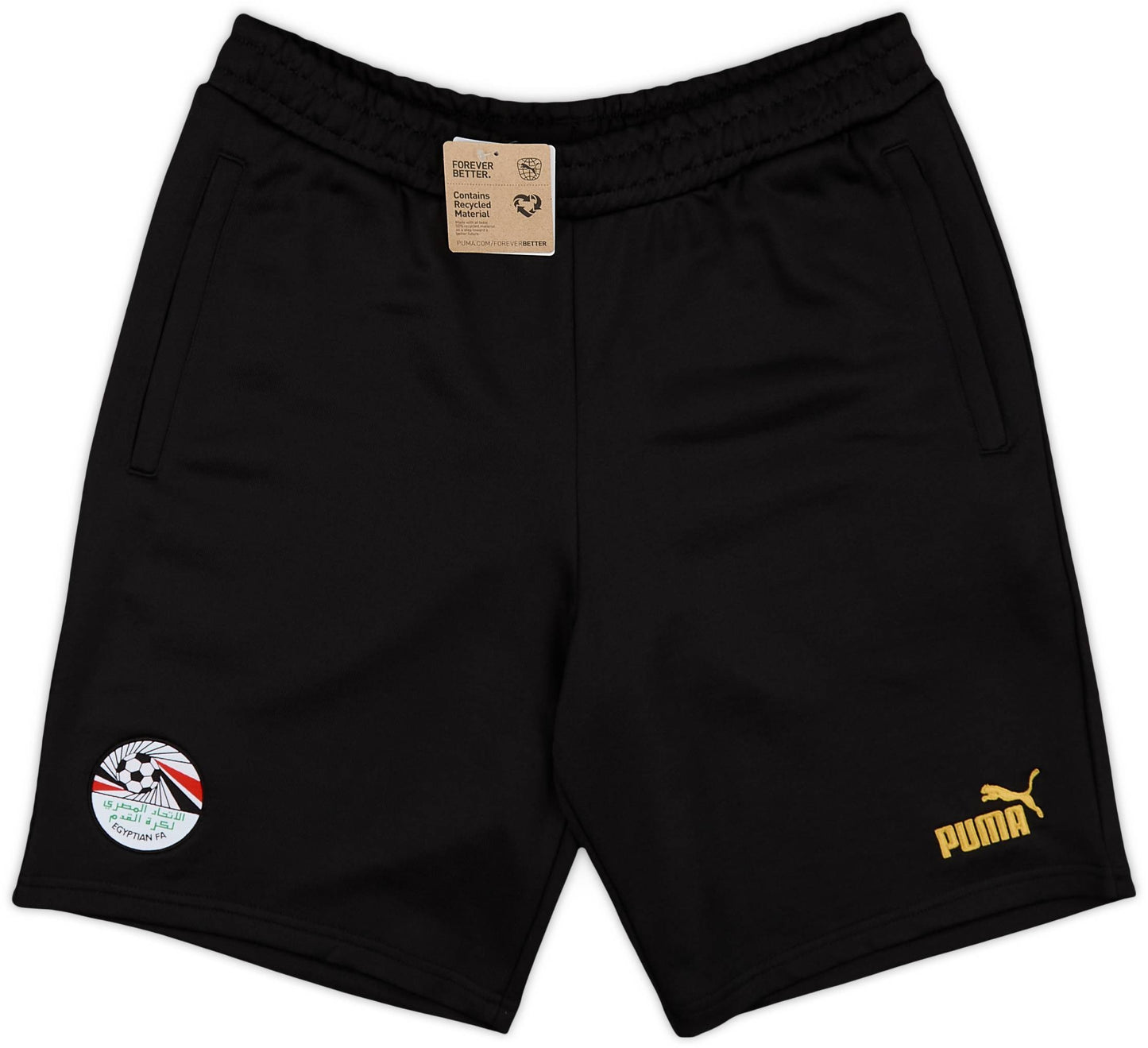 Short Puma FtblCulture Égypte 2023-24