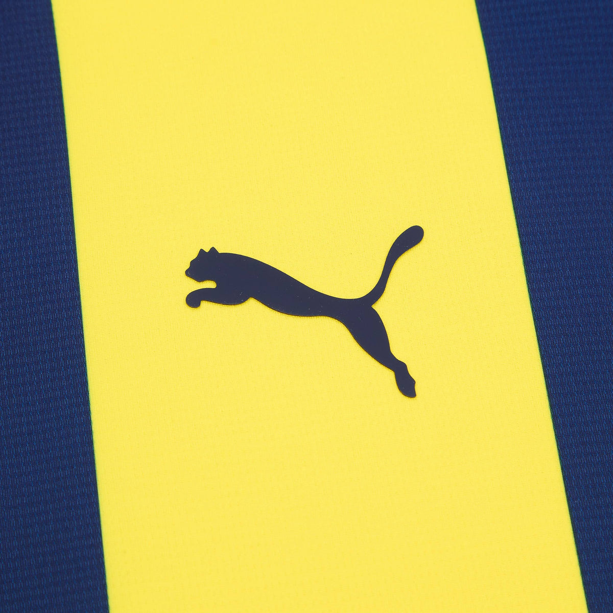 Maillot domicile Fenerbahce 2024-25