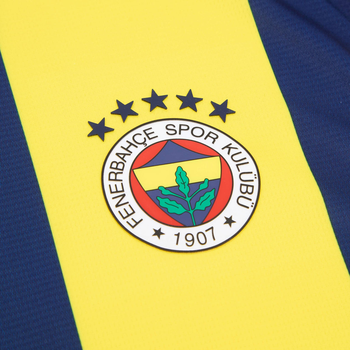 Maillot domicile Fenerbahce 2024-25