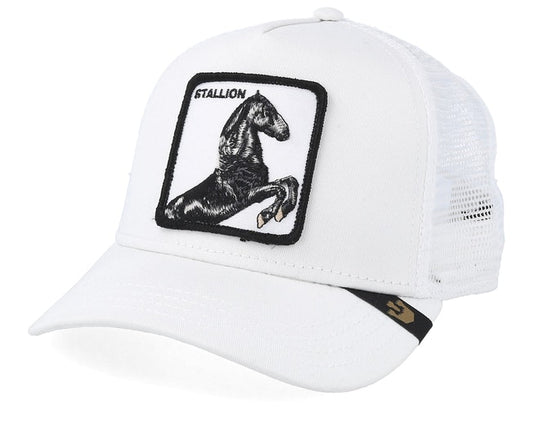 Casquette Stallion