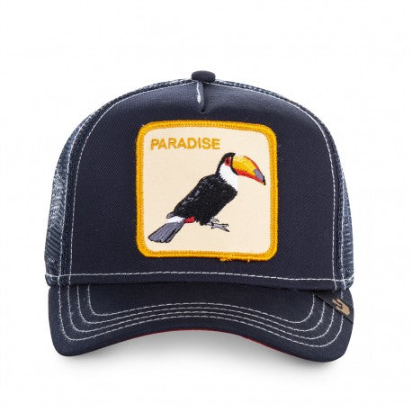 Casquette Oiseau Bleu Paradise Goorin Bros RR Store Online